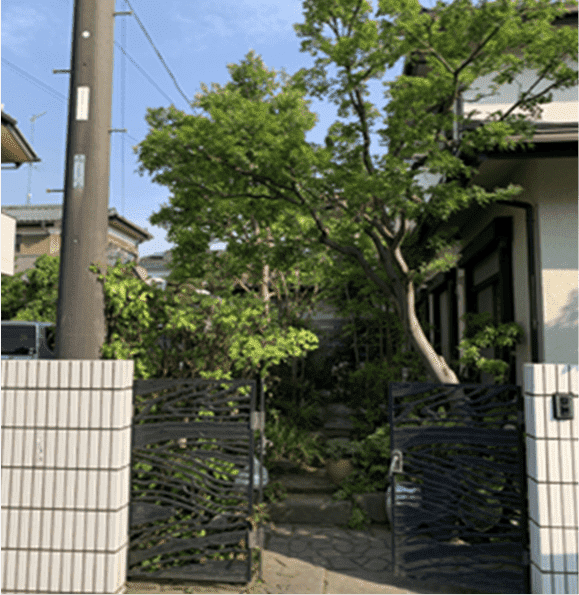 長崎県大村市 刈り込み枝落とし