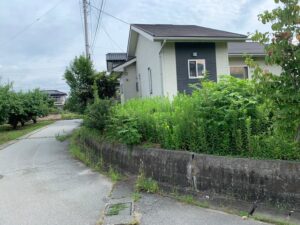 草刈り施工前
